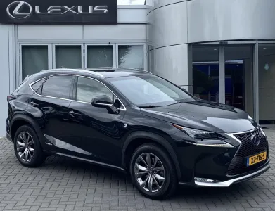NX 300h